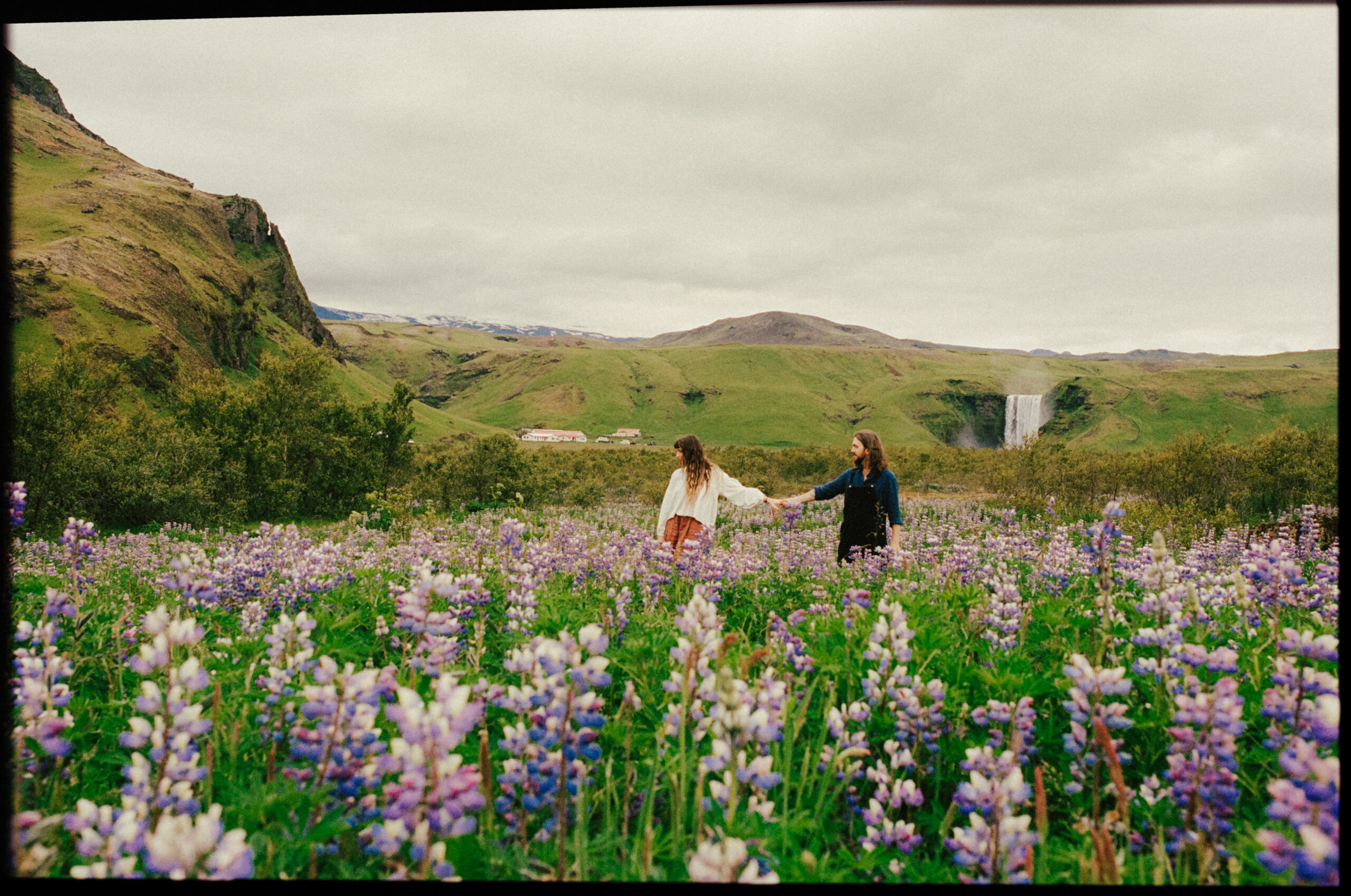 A cinematic epic photo of a couple strolling in a meadow filled with lupins with a waterfall in the background in Iceland.