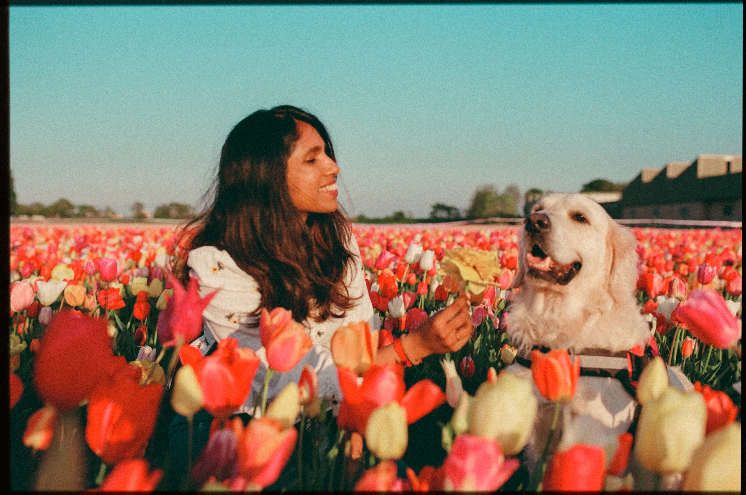 Kiki from Grainy Soul Photos posing with her dog, Sunshine in a tulip field.