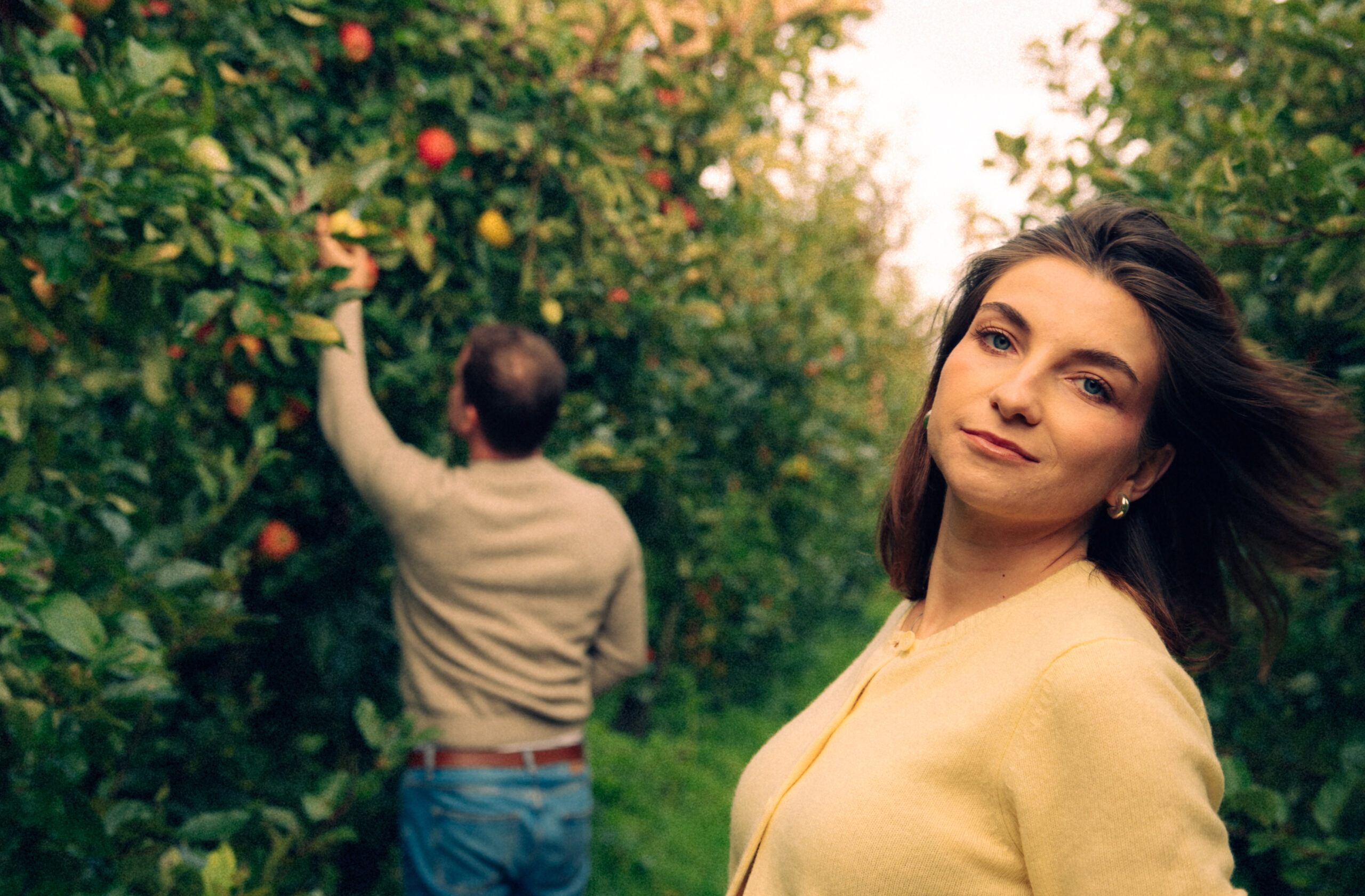 A cinematic photo of a couple at an apple orchard in the Netherlands.