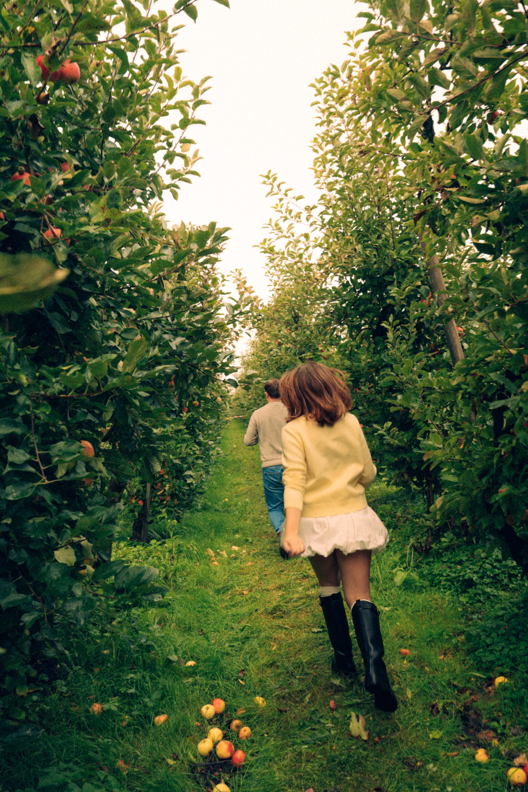 A cinematic photo of a couple at an apple orchard in the Netherlands.