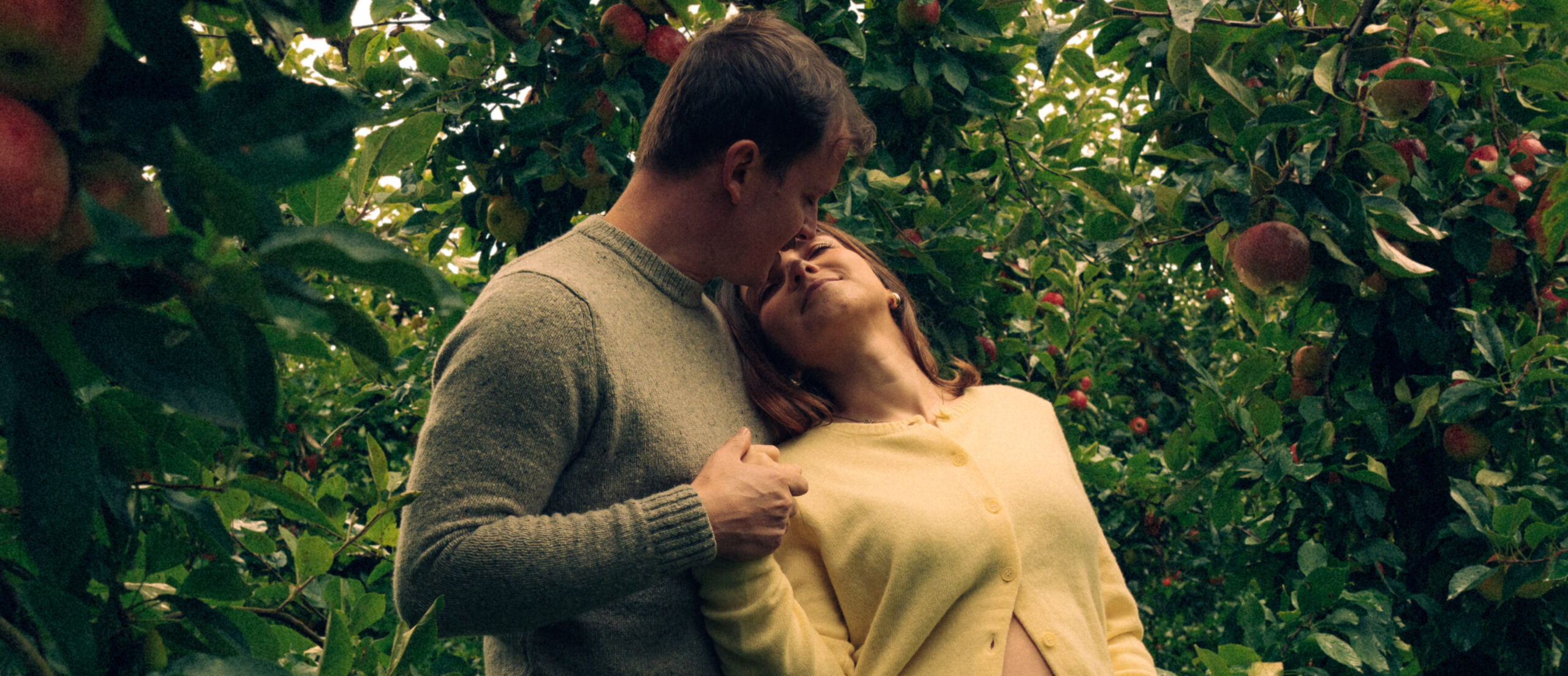A cinematic photo of a couple at an apple orchard in the Netherlands.