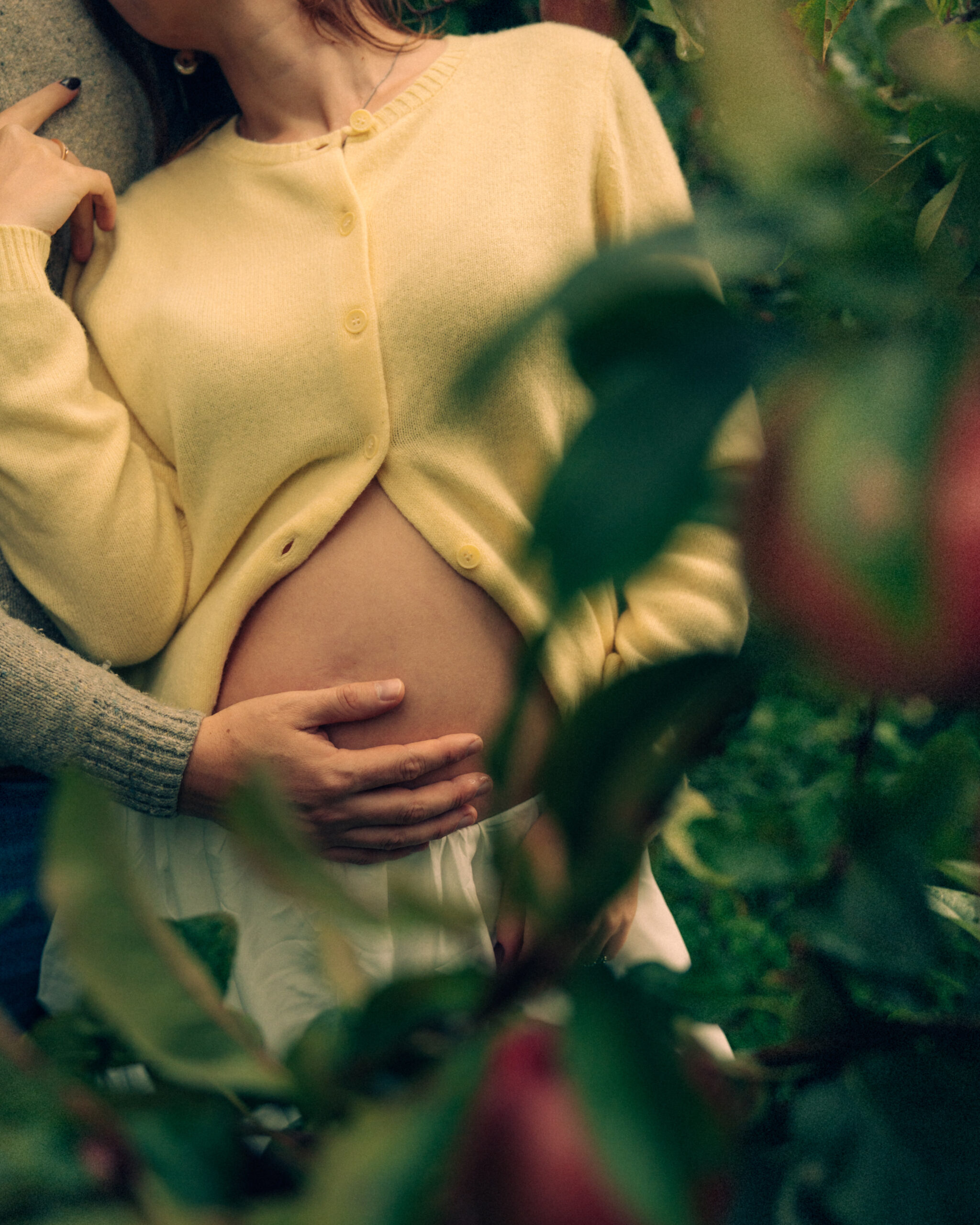 A cinematic photo of a couple at an apple orchard in the Netherlands.