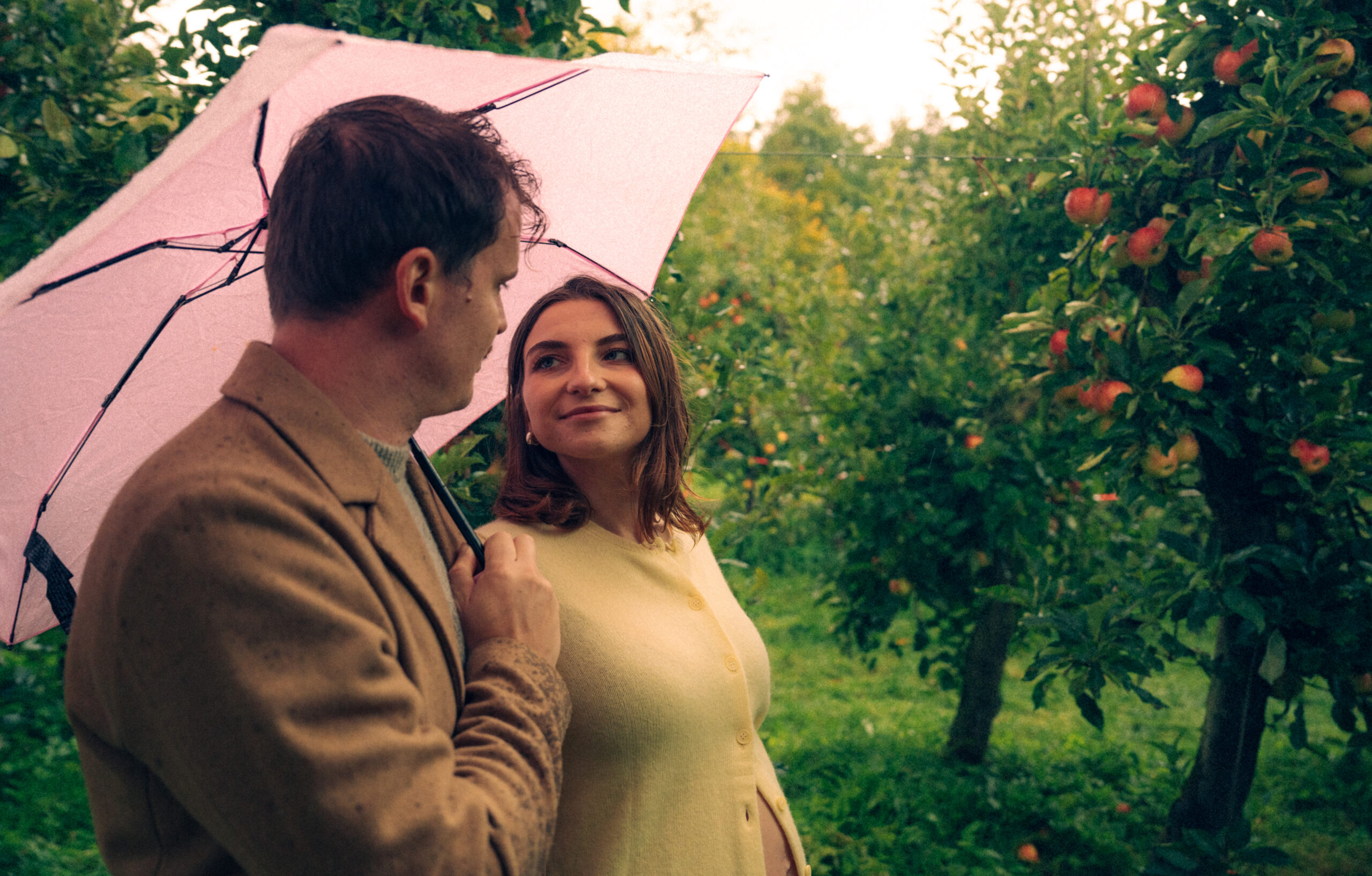 A cinematic photo of a couple at an apple orchard in the Netherlands.