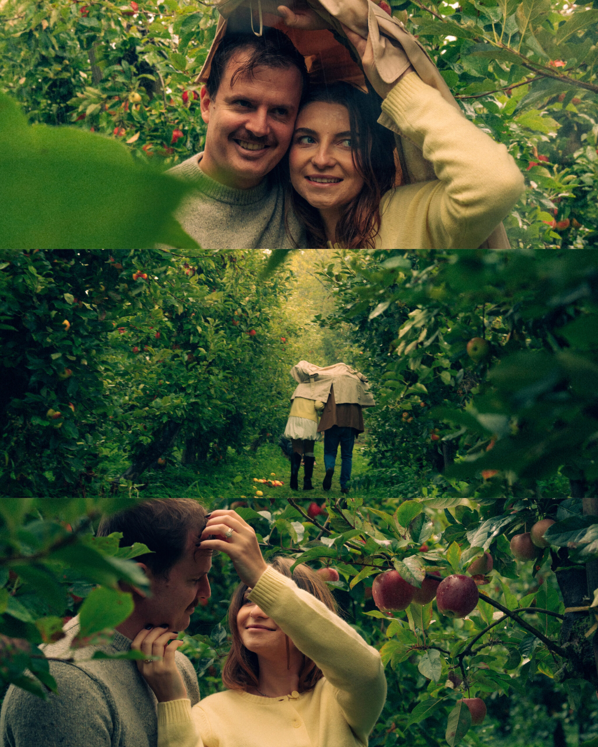 Some cinematic photos of a couple at an apple orchard in the Netherlands.