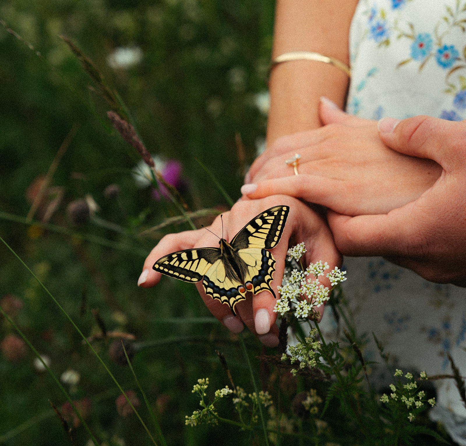A cinematic detail shot of a couple's hands with a butterfly near Wengen, Switzerland.