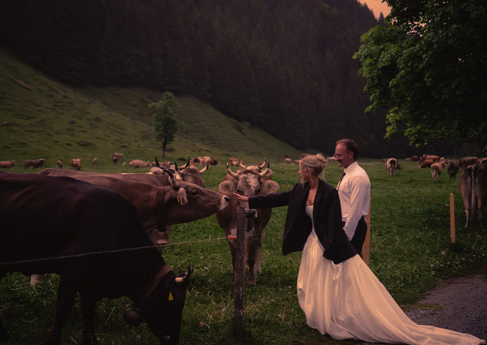 A cinematic photo of a bride and bridegroom with some cows during their elopement in Rosenlaui, Switzerland.
