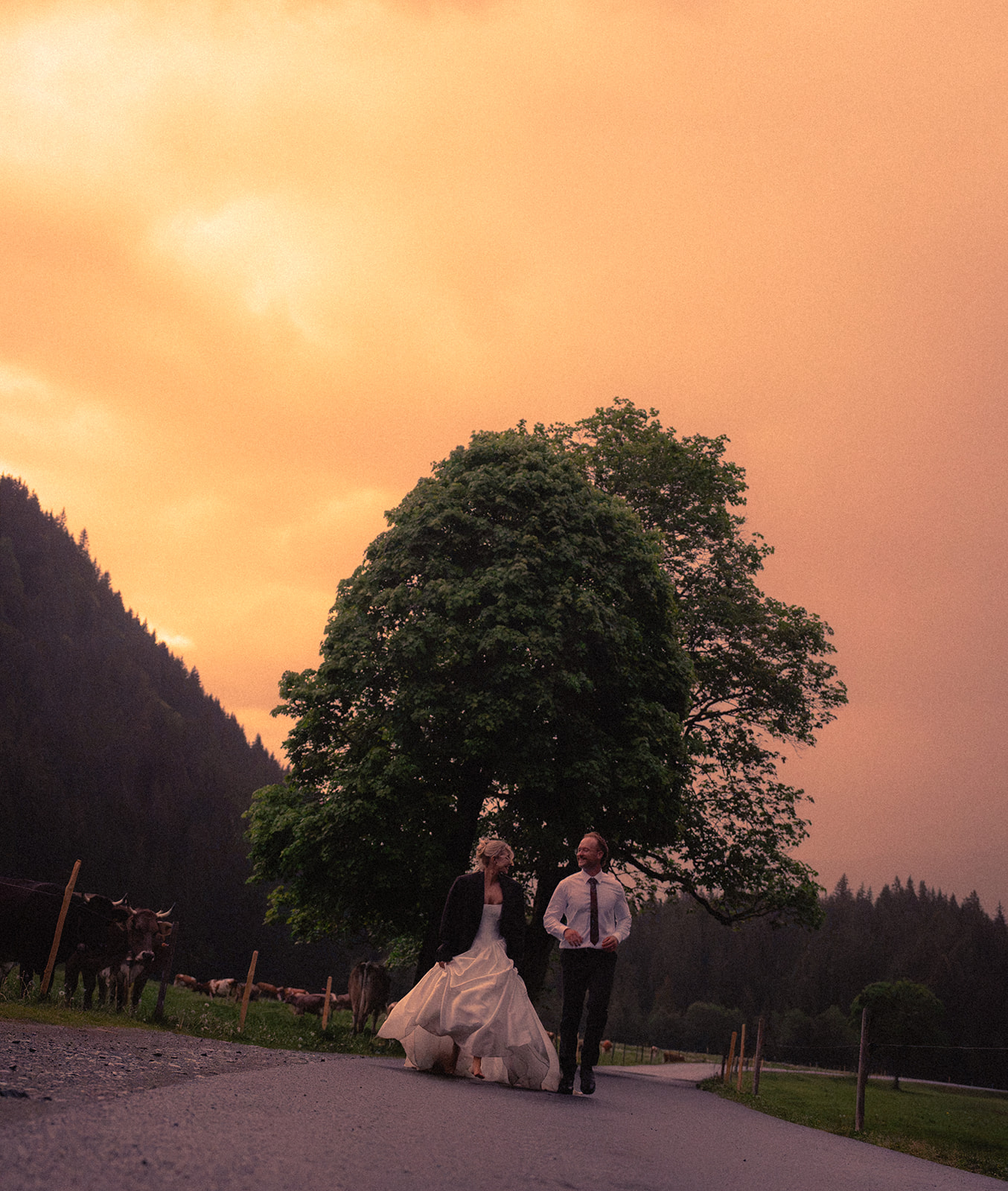 A cinematic photo of a bride and bridegroom with some cows during their elopement in Rosenlaui, Switzerland.